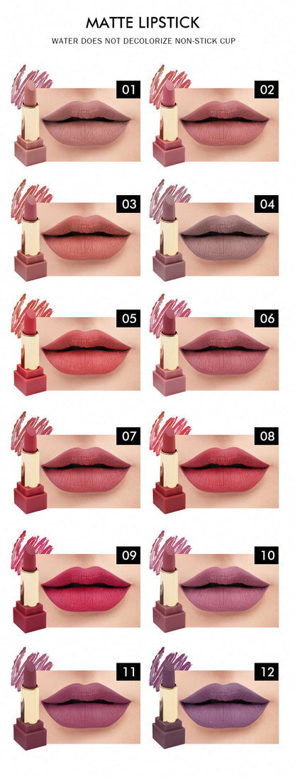 12PCS SET  LIPSTICK SET